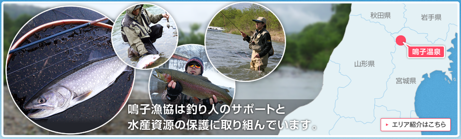 鳴子漁協は釣り人のサポートと水産資源の保護に取り組んでいます。